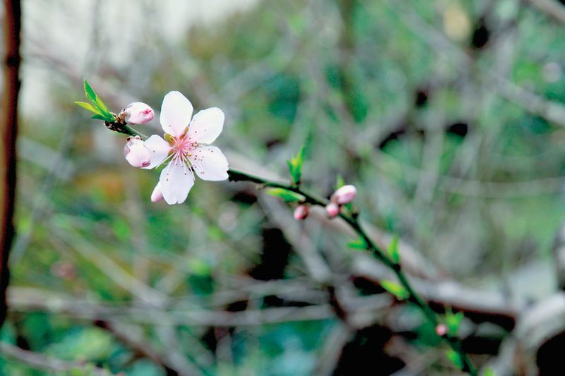 人生要變好,把握一個「淨」【與 弘聖上師協談紀實】 人生要變好,把握一個「淨」【與 弘聖上師協談紀實】