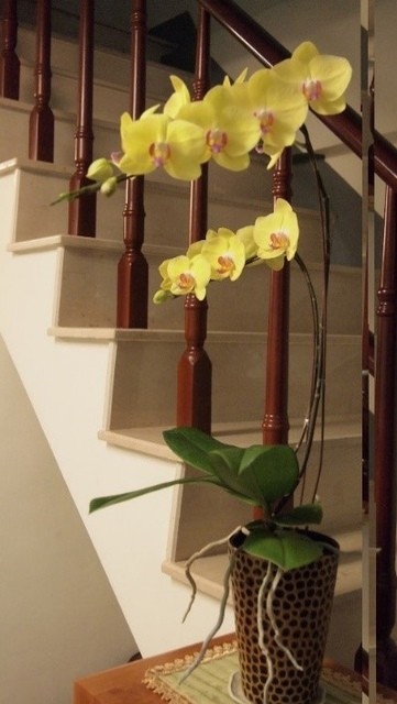 2014年4月6日 和諧人生系列講座《生死事大－學佛是生命中最重要的事》 花絮