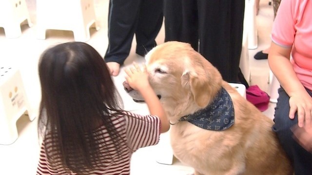 2014年9月7日 和諧人生系列講座《聽話、放下，從心出發》花絮