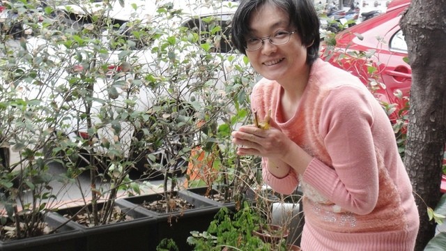 2015年2月19日初一 高雄《明覺法堂》新春團拜花絮