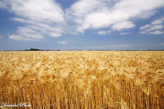 2015年4月12日 福慧人生系列講座《攀越巔峰》花絮