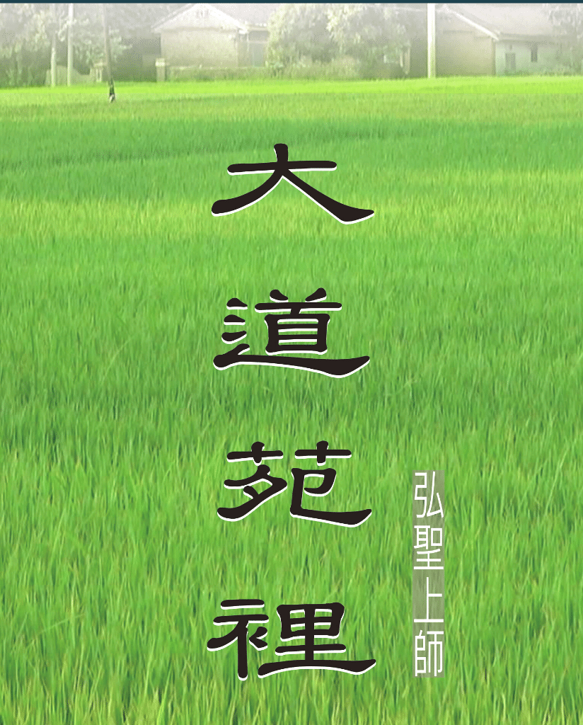 大道苑裡首映會花絮 大道苑裡首映會花絮