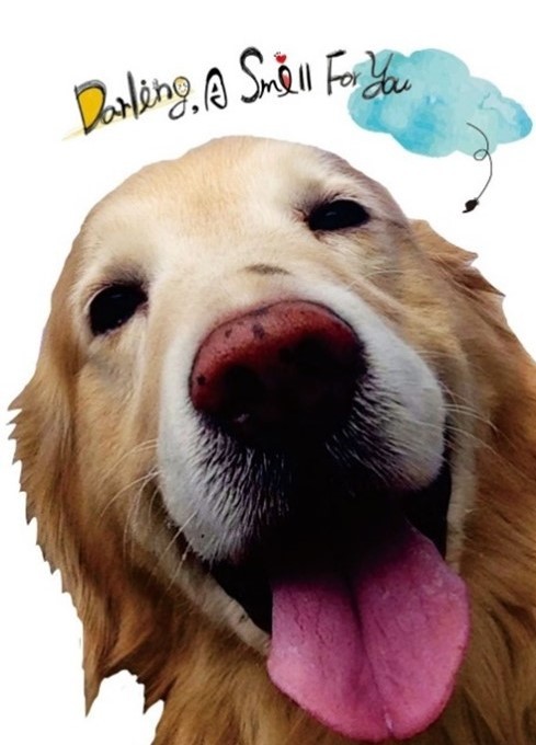 人生講座【謙卑人生 勇敢向前】花絮