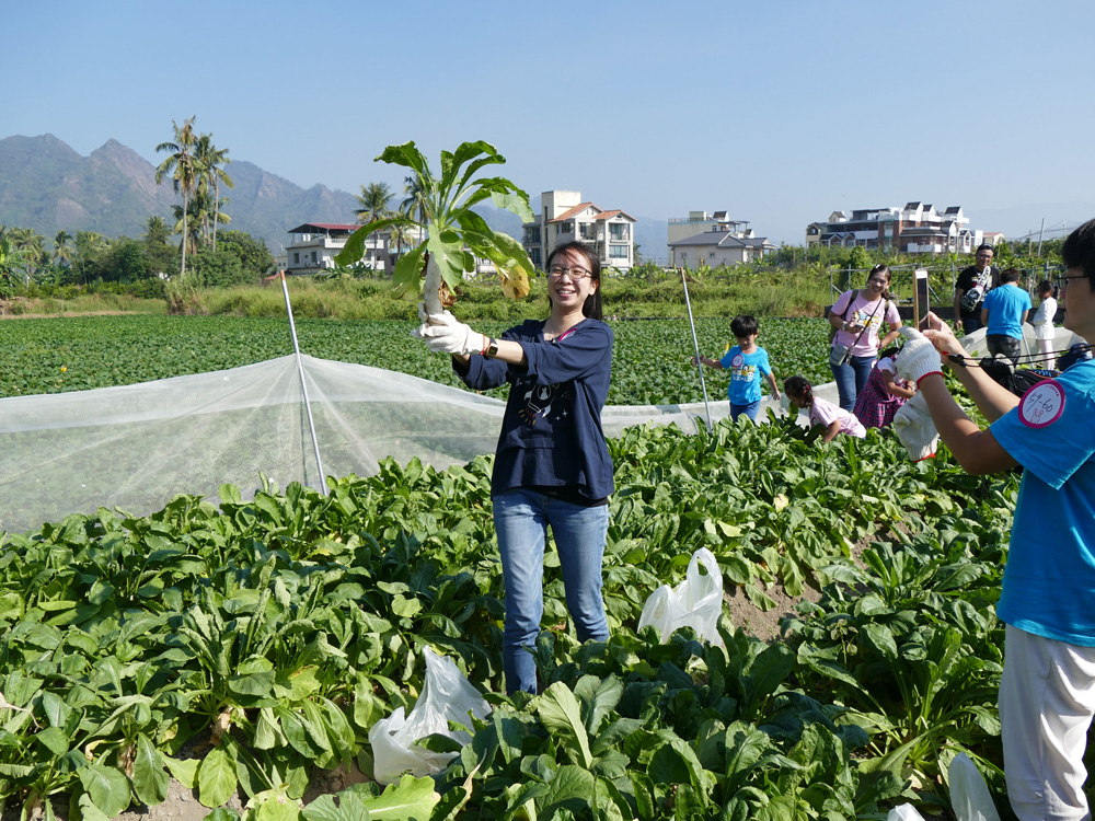 一覺元念佛班與上師有約—美濃蘿蔔趣 菜香並法香 活動心得3 一覺元念佛班與上師有約—美濃蘿蔔趣 菜香並法香 活動心得3