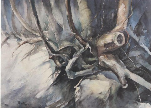 2016年2月20日 禪藝系列講座(一)《生活聲音與身影》花絮