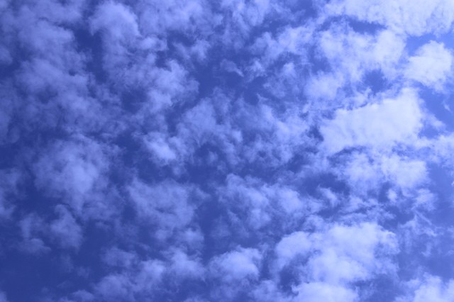 把握因緣 努力精進