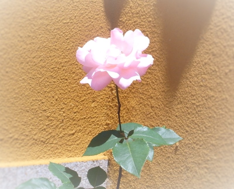 普陀山慈悲、智慧、圓融之旅 普陀山慈悲、智慧、圓融之旅