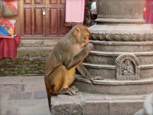 [印度行]微塵見聞錄（二） 走訪—尋他