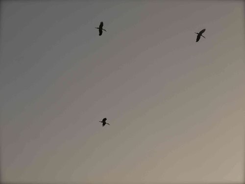 [印度行]Monica見聞錄（五）