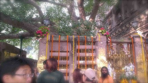 [印度行]Monica見聞錄（八）