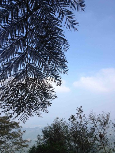 大雪山秋旅學修記要