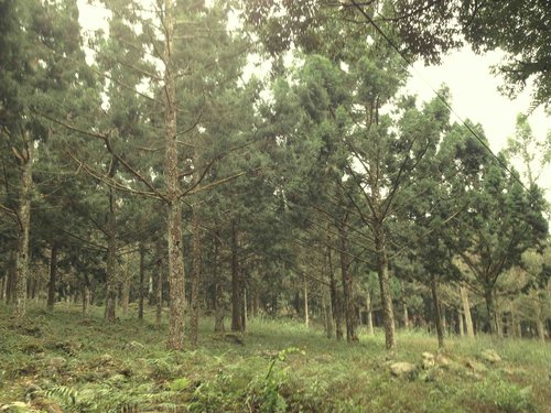 大雪山秋旅學修記要