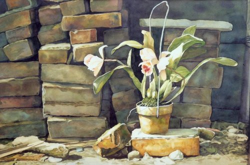 [印度行]微塵見聞錄 因緣—騷擾—啟程