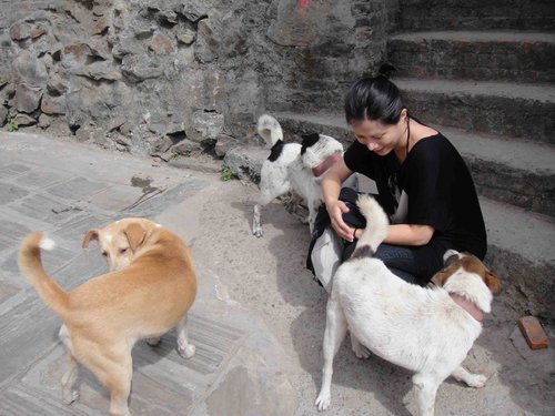 [印度行]嘉財見聞心得（四）