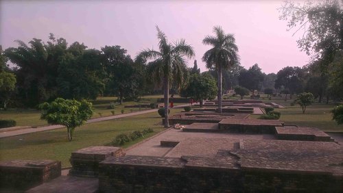 [印度行]嘉財見聞心得（五）