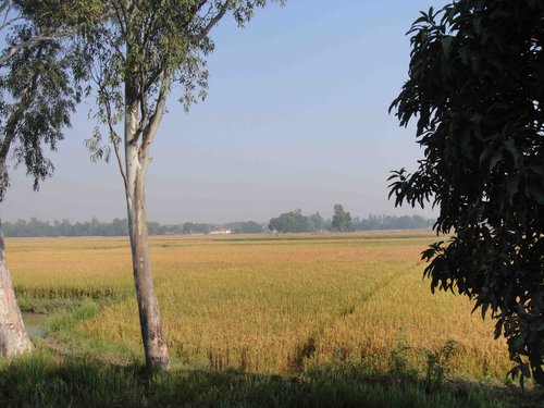 [印度行] 嘉財見聞心得（九）