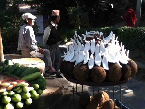 [印度行]佳容見聞錄（一）