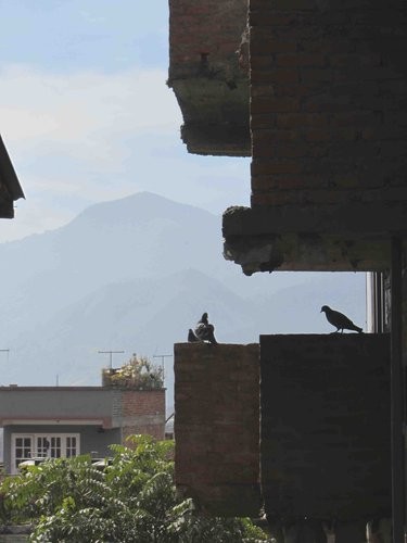 [印度行]微塵見聞錄（三） 熟悉