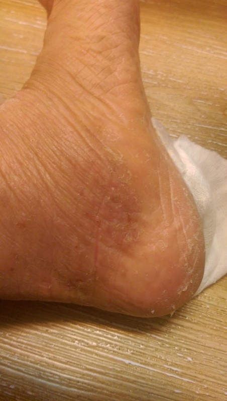 2014年西藏西行─微妙心法學修之路