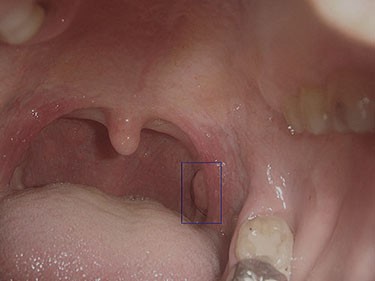 文萃 第 2 期 【信而有徵】美雲的發現~~~續