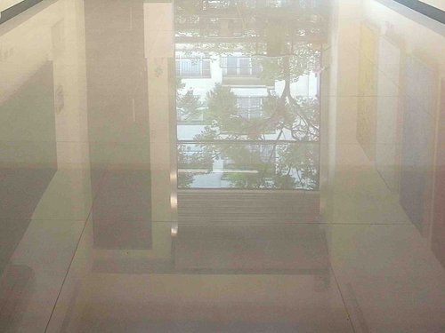 觀止學修中心誕生記要