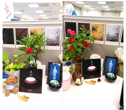 《無住》妙音不思議─植栽