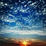 重生之真言實錄(二)