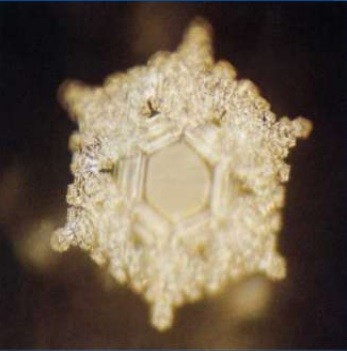 水的結晶，意念的重要性