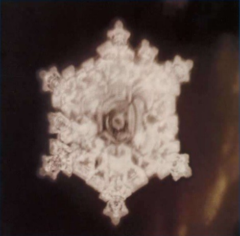 水的結晶，意念的重要性