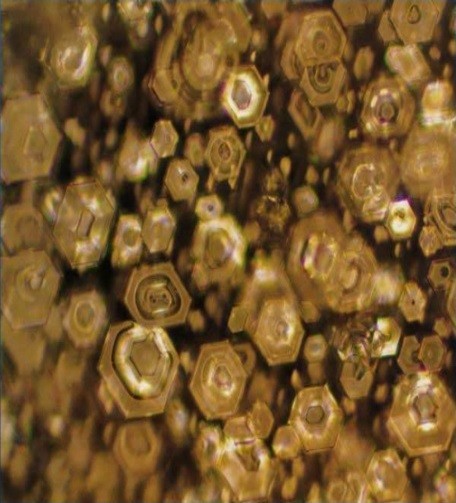 水的結晶，意念的重要性