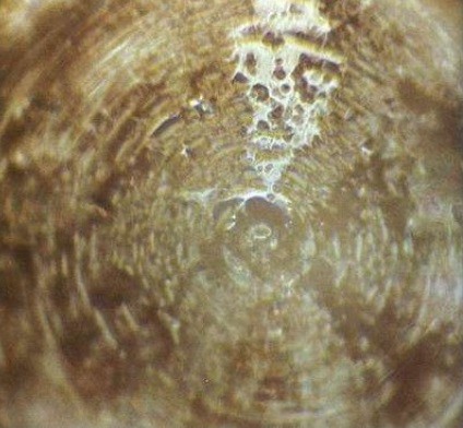 水的結晶，意念的重要性