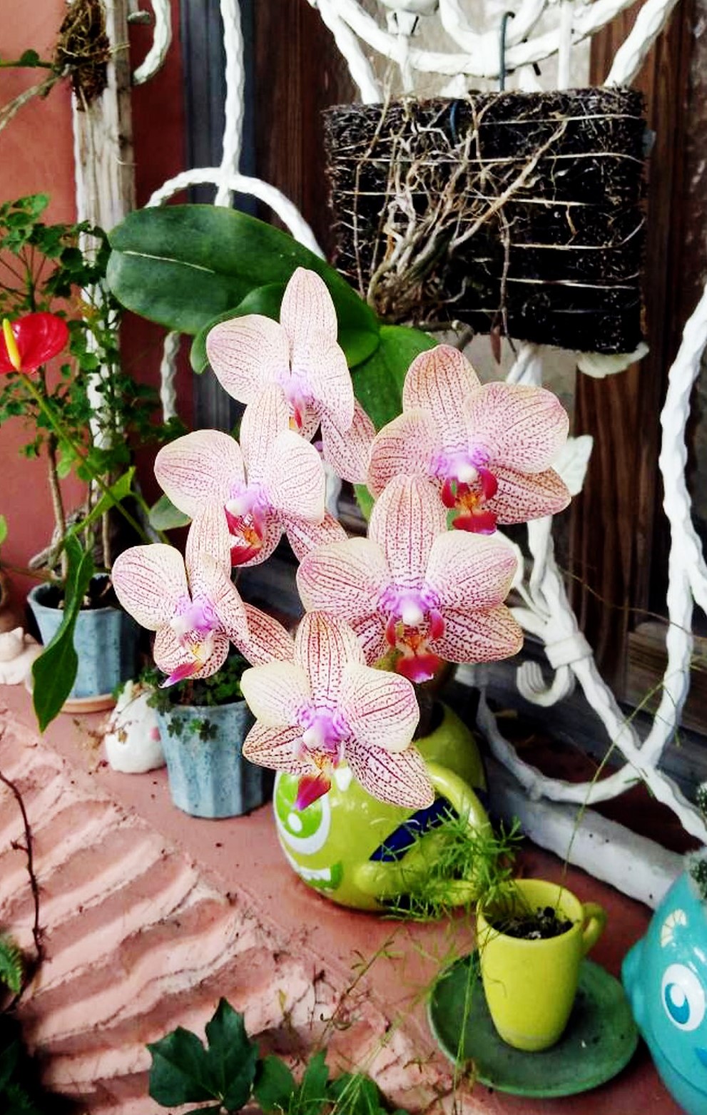 文萃 第 22 期【信而有徵】孝敬是大根大本