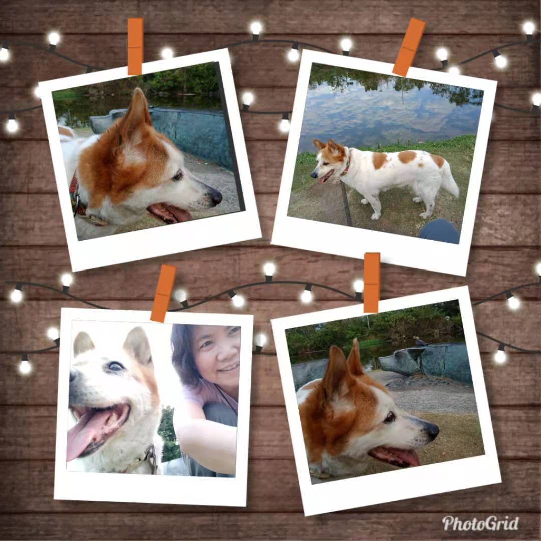 文萃 第 25 期【信而有徵】——小花回憶錄