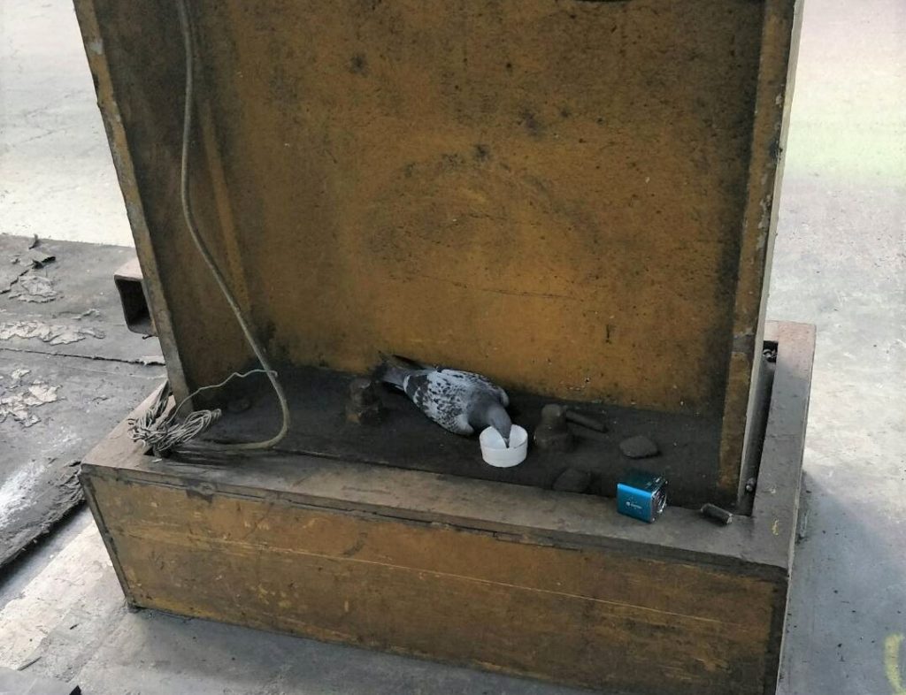 殊勝的元和妙音