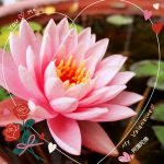 超越物質和精神 —「元和妙音」