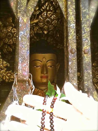 [印度行] Monica 見聞錄(序章)