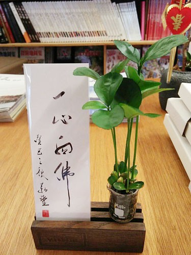 2017年1月22日台北法堂學修心得——因果雨·照亮世界·大圓滿