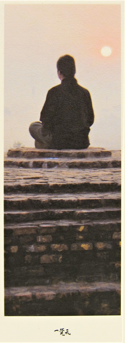 書籤-印度行系列(一) -歡欣甘受